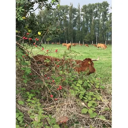 Uitzicht Op De Pellenz